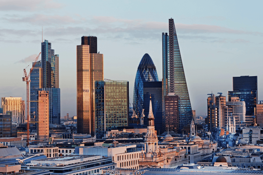 Local & Service-Based Businesses